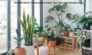 Memulai Bisnis Tanaman Hias Online Agar Hobi Jadi Menghasilkan Bisnis Tanaman Hias Online